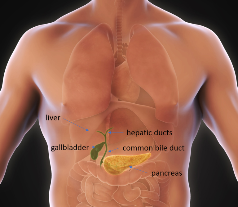 gall bladder removal